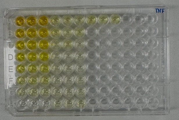 Mouse TNF-alpha DuoSet ELISA DY410
